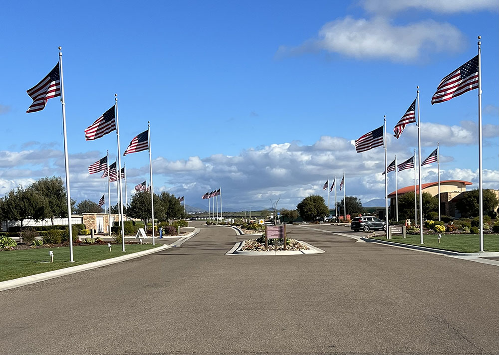 Avenue of Flags