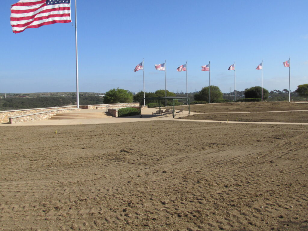 Stage one of a turf replacement project begins throughout the cemetery.